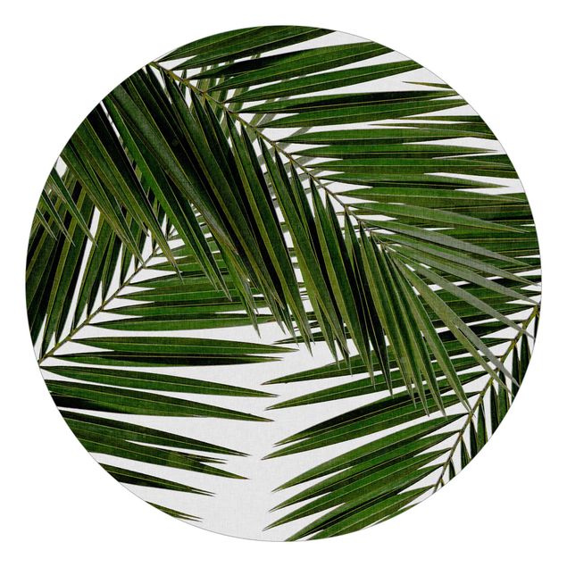 Wellness Tapete Blick durch grüne Palmenblätter