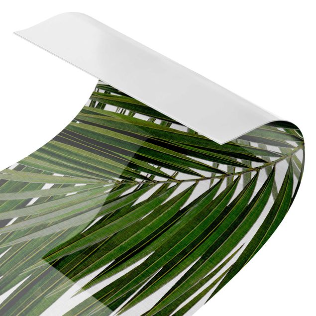 Küchenrückwand Motiv Blick durch grüne Palmenblätter