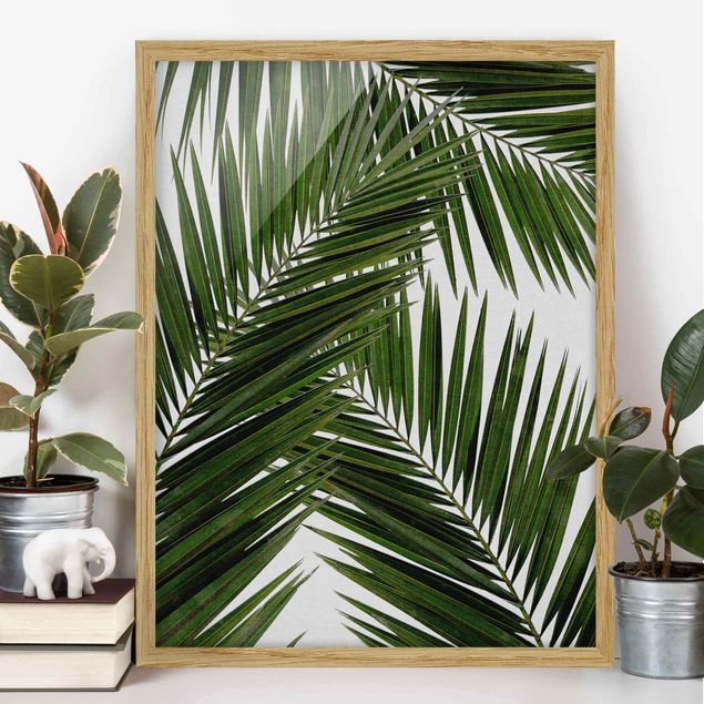 Moderne Bilder mit Rahmen Blick durch grüne Palmenblätter