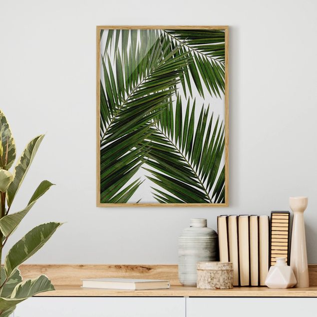 Blumen Bilder mit Rahmen Blick durch grüne Palmenblätter
