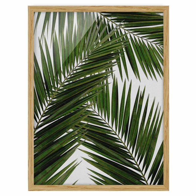 Wandbilder mit Rahmen Blick durch grüne Palmenblätter