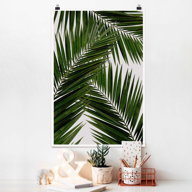 Poster - Blick durch grüne Palmenblätter - Hochformat 2:3