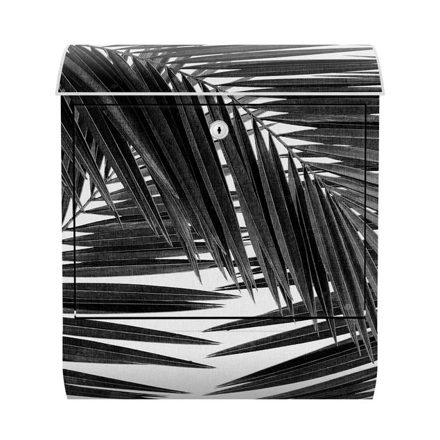 Briefkasten - Blick durch Palmenblätter schwarz weiß