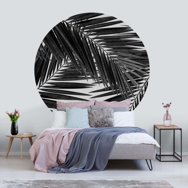 Design Tapeten Blick durch Palmenblätter schwarz weiß
