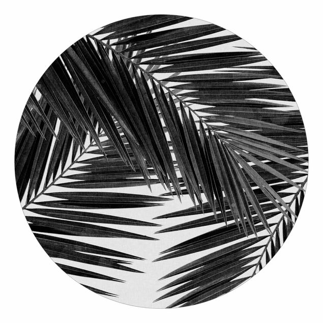 Fototapete Wellness Blick durch Palmenblätter schwarz weiß