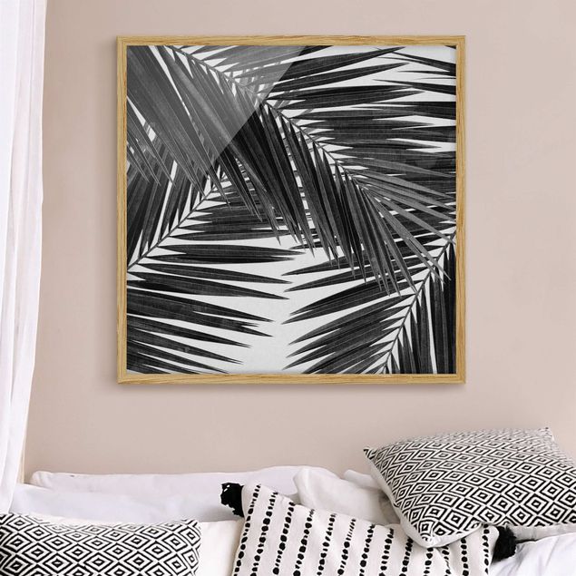 schwarz-weiß Bilder mit Rahmen Blick durch Palmenblätter schwarz weiß