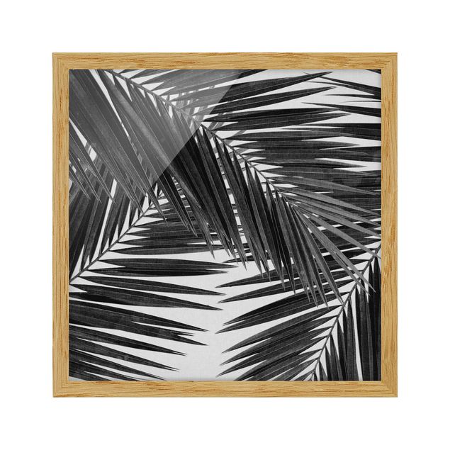 gerahmte Bilder Blick durch Palmenblätter schwarz weiß