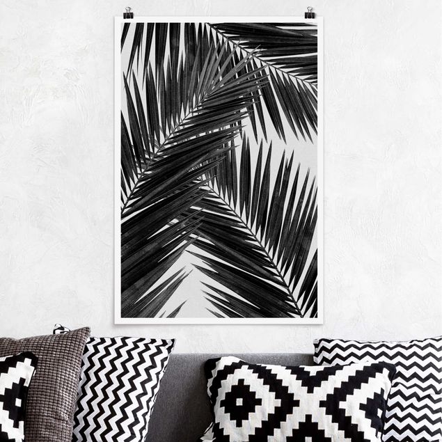 XXL Poster Blick durch Palmenblätter schwarz weiß