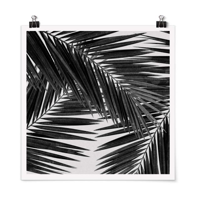 Wandbilder Blick durch Palmenblätter schwarz weiß