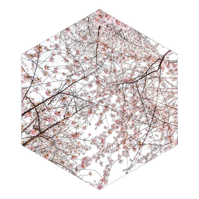Hexagon Mustertapete selbstklebend - Blick in Kirschblütenzweige