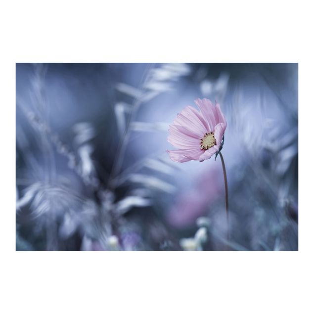 Fototapete - Blüte in Pastell