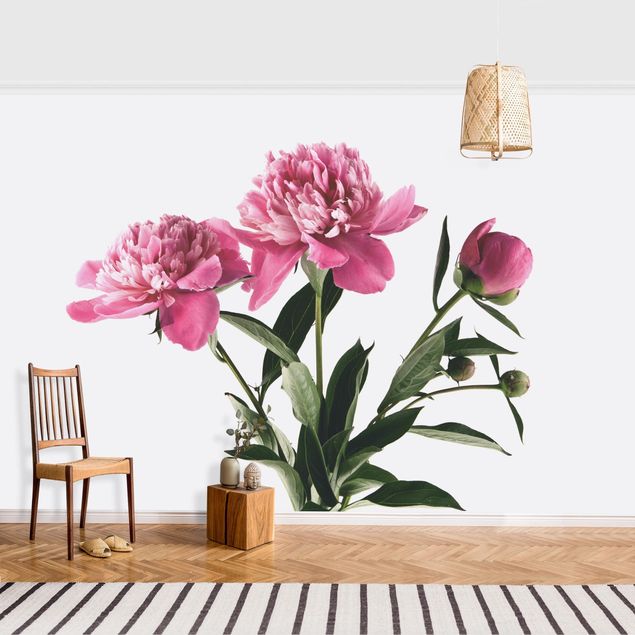 Fototapete - Blüten und Knospen Pink auf Weiß - Querformat