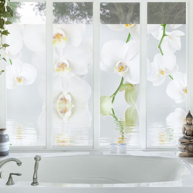 Blumen Fensterbild Wellness Orchidee - Weiße Orchidee