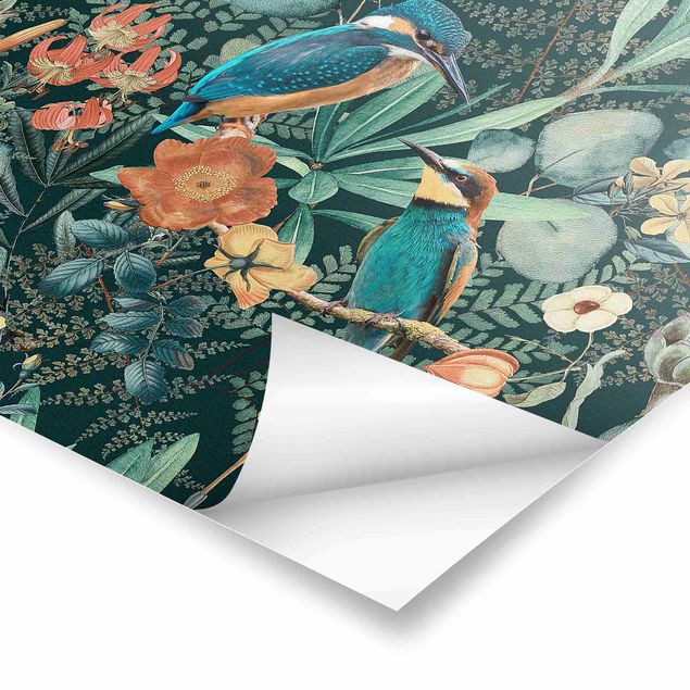 Eisvogel Poster Kolibri Blumenparadies als Quadrat und kaufen