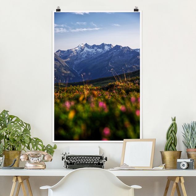 Poster Berge Blumenwiese in den Bergen