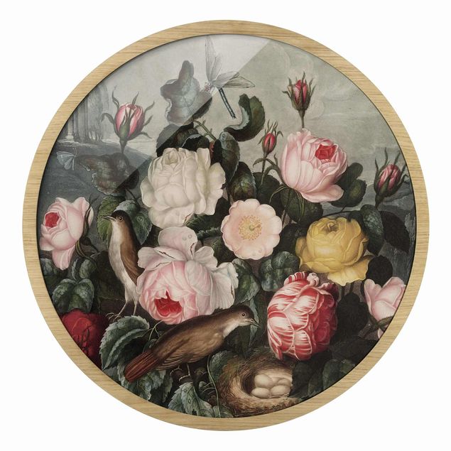 schöne Bilder Botanik Vintage Illustration Rosen