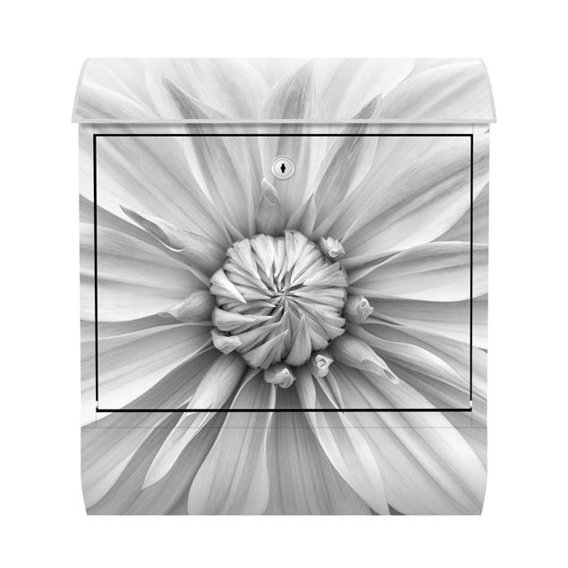 Briefkasten modern Botanische Blüte in Weiß