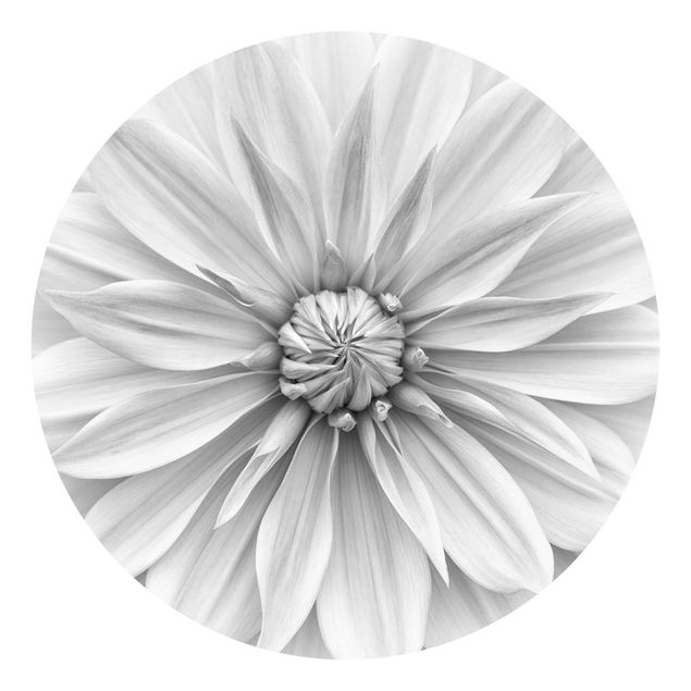 schöne Tapeten Botanische Blüte in Weiß