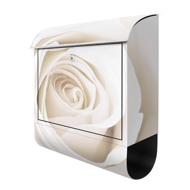 Rosen Briefkasten mit Zeitungsfach - Pretty White Rose - Briefkasten Blumenprint