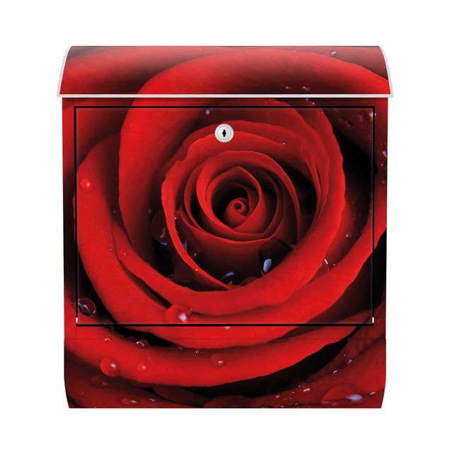 Briefkasten modern Rote Rose mit Wassertropfen