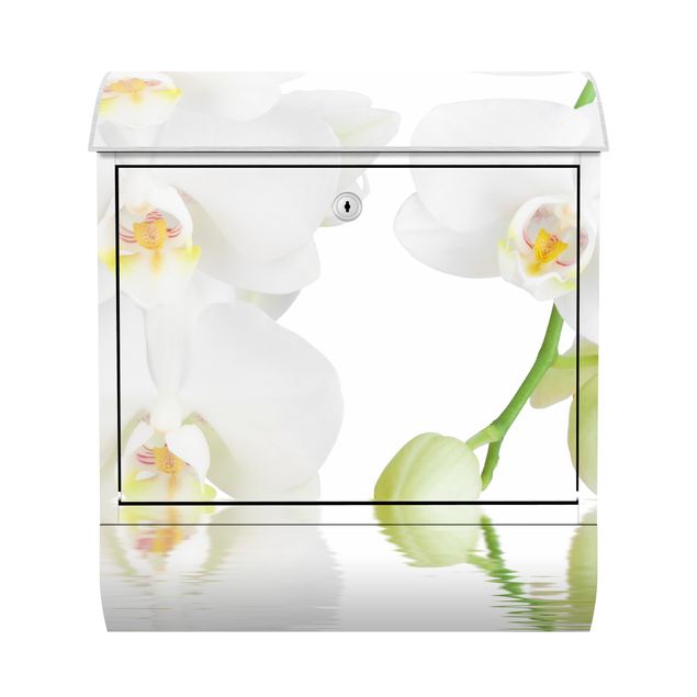 Briefkasten modern Wellness Orchidee - Weiße Orchidee