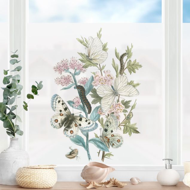 Fensterbilder Blumen Britische Schmetterlinge I