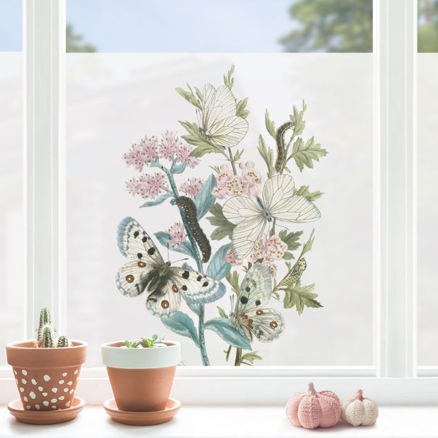 Fensterfolie Blumen Britische Schmetterlinge I