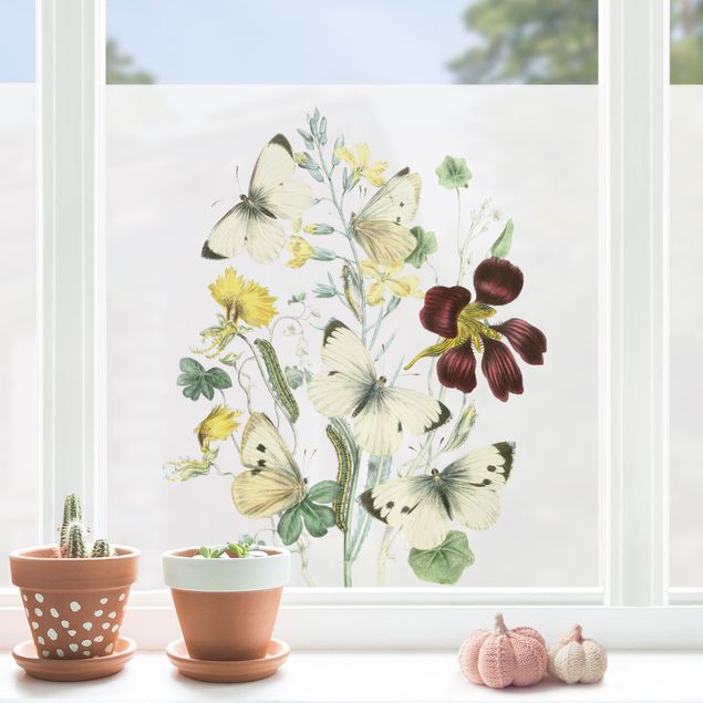 Blumen Fensterbild Britische Schmetterlinge II