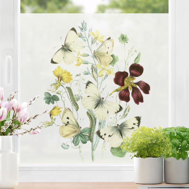 Fensterfolie Motiv Blumen Britische Schmetterlinge II