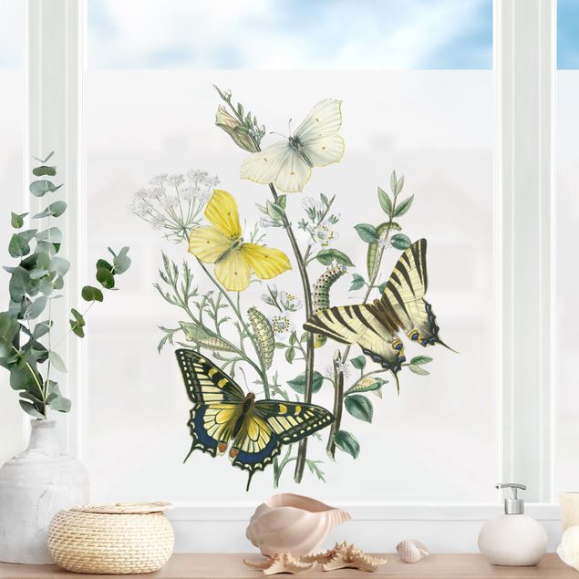 Fensterbilder selbstklebend Blumen Britische Schmetterlinge III