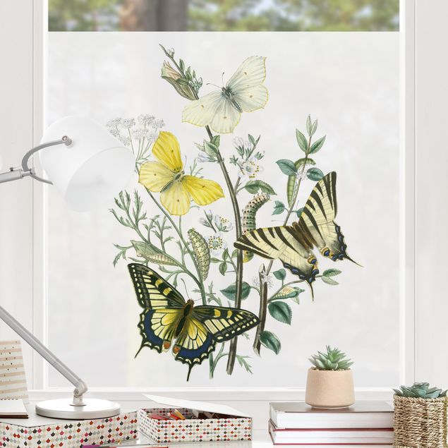 Fensterfolie Blumen Britische Schmetterlinge III