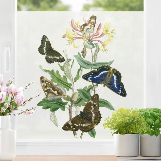 Fensterfolie Blumen Britische Schmetterlinge IV