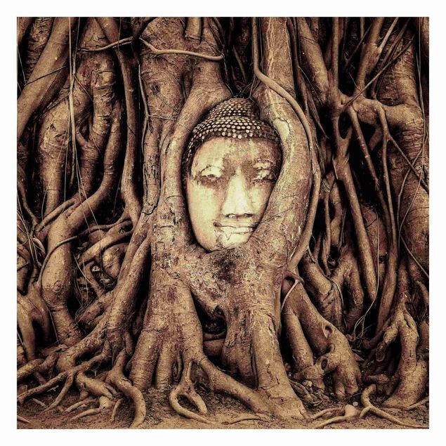 Tapete selbstklebend Buddha in Ayutthaya von Baumwurzeln gesäumt in Braun