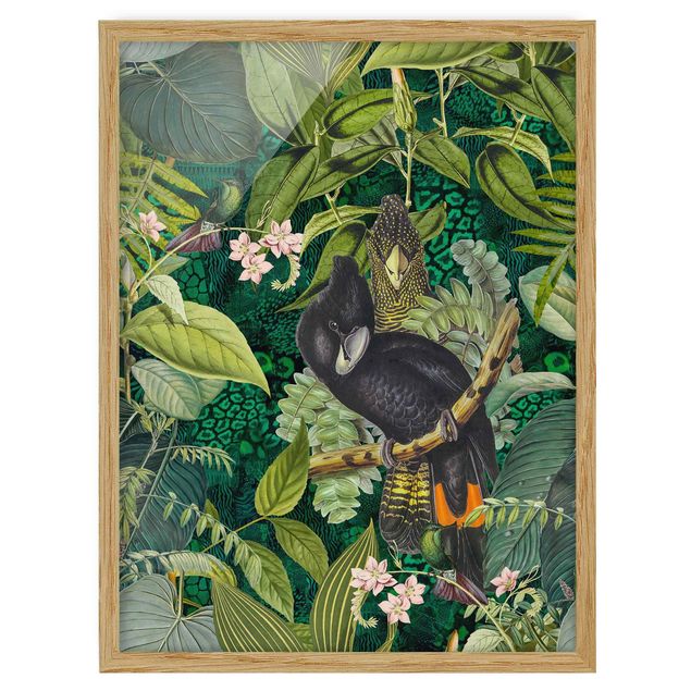 Bilder Bunte Collage - Kakadus im Dschungel
