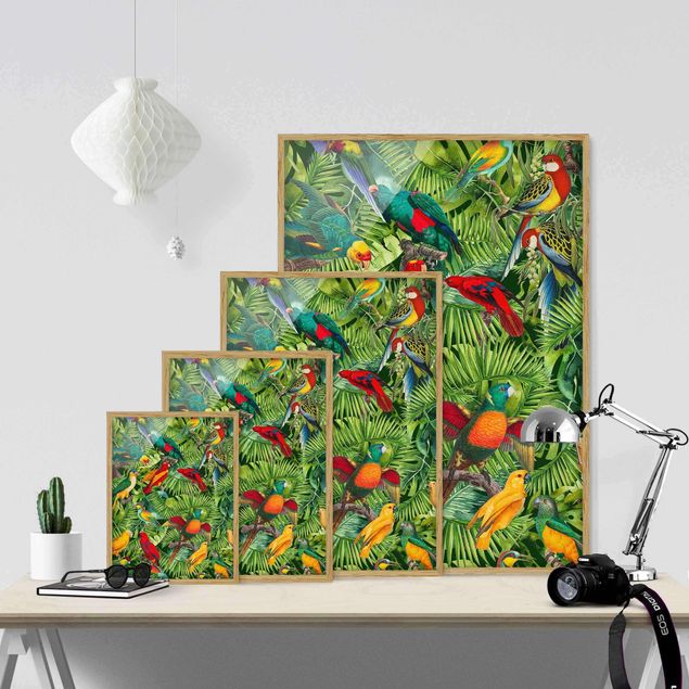 Bilder mit Rahmen Bunte Collage - Papageien im Dschungel