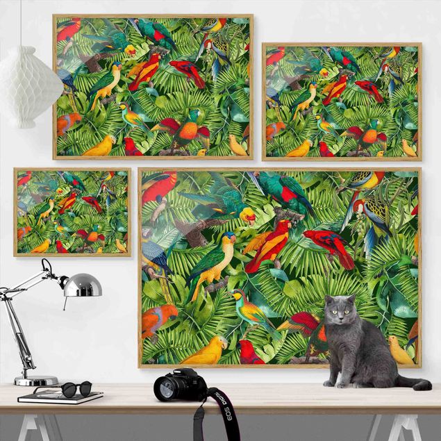 gerahmte Bilder Bunte Collage - Papageien im Dschungel
