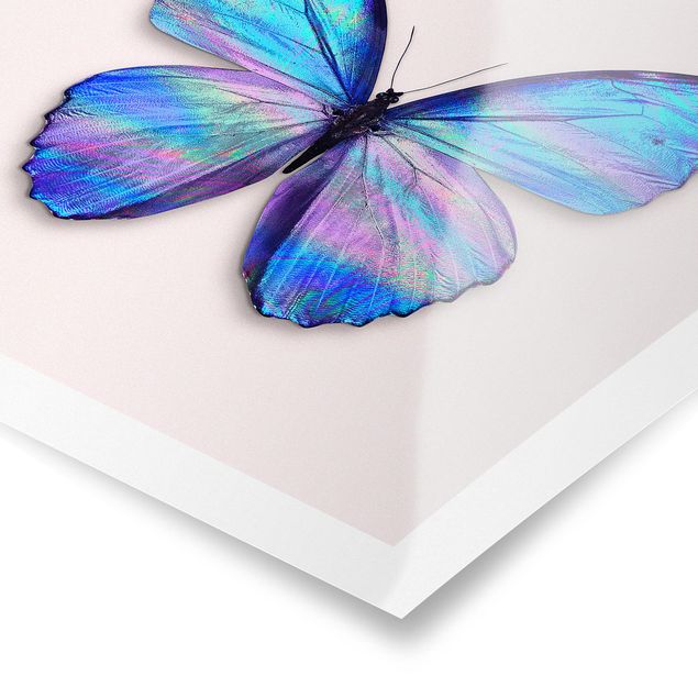 Bilder Holografischer Schmetterling