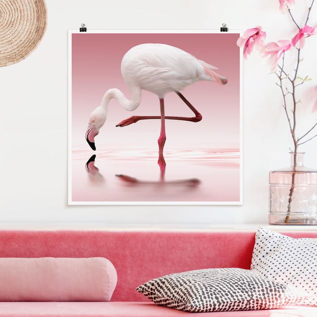Poster Tiere Flamingo Dance