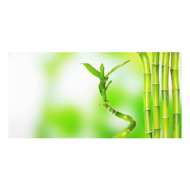 Spritzschutz Glas - Grüner Bambus - Querformat - 2:1