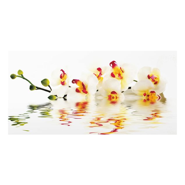 Spritzschutz Glas - Vivid Orchid Waters - Querformat - 2:1
