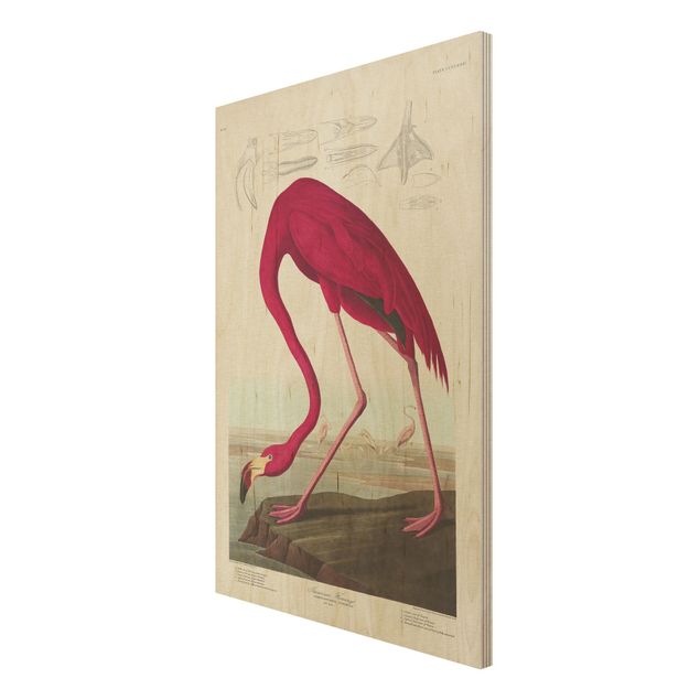 Bilder auf Holz Vintage Lehrtafel Amerikanischer Flamingo
