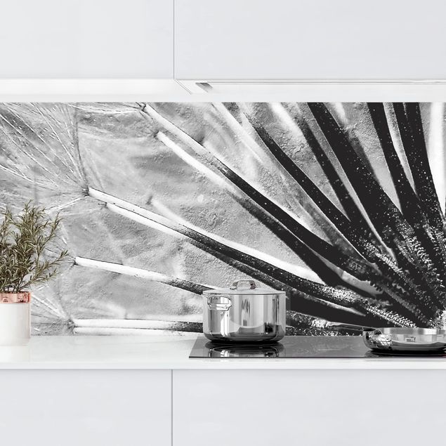 Platte Küchenrückwand Pusteblume Schwarz & Weiß