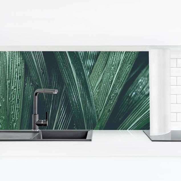Küchenrückwand selbstklebend Grüne Palmenblätter