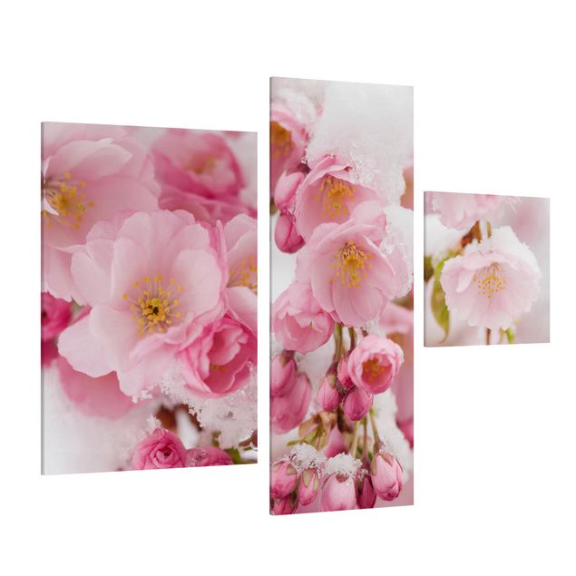 Leinwandbild 3-teilig - Schneebedeckte Kirschblüten - Collage 1