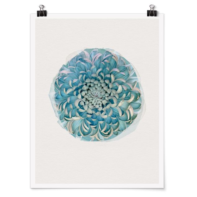 Poster - Wasserfarben - Blaue Chrysantheme - Hochformat 4:3