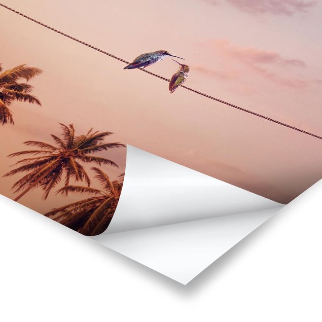 Poster - Jonas Loose - Sonnenuntergang mit Kolibris - Hochformat 3:4