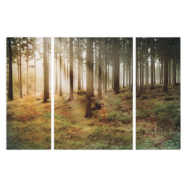 Leinwandbild 3-teilig - No.CA48 Morning Forest - Triptychon