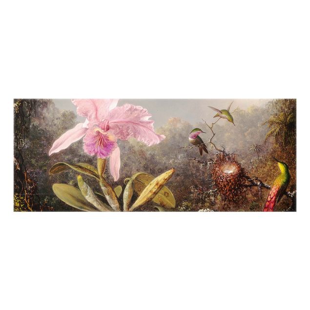 Spritzschutz Glas - Martin Johnson Heade - Orchidee und drei Kolibris - Panorama - 5:2