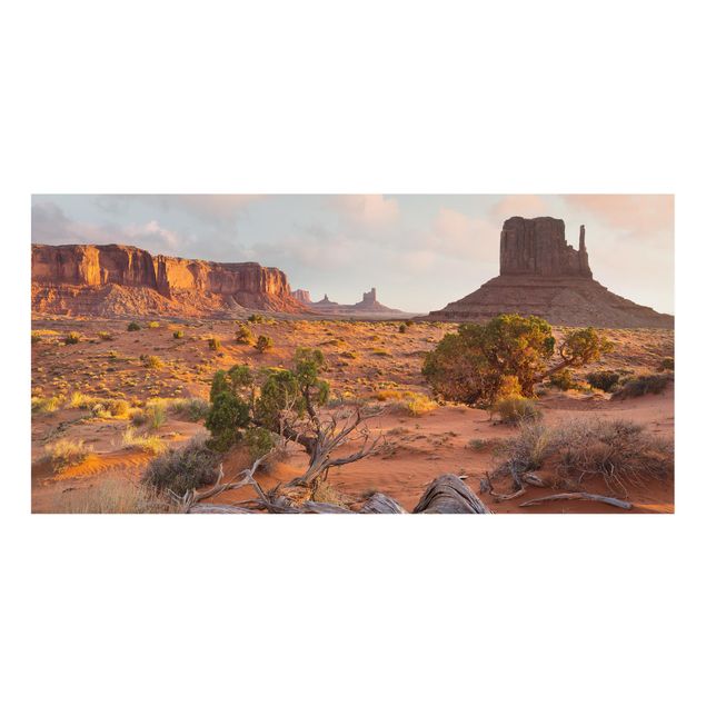 Spritzschutz Glas - Monument Valley Navajo Tribal Park Arizona - Querformat - 2:1