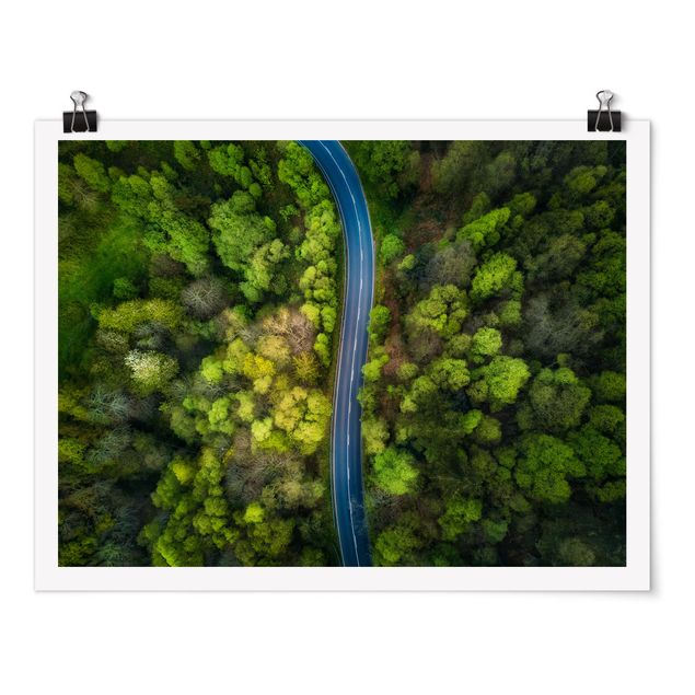 Bilder Luftbild - Asphaltstraße im Wald